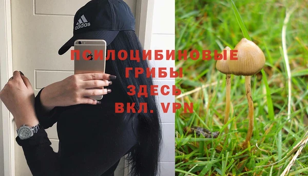 spice Алексеевка