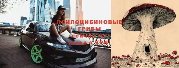 spice Алексеевка