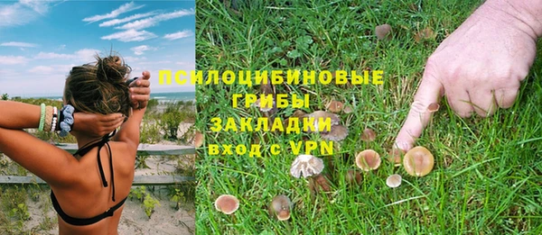 герыч Алексин
